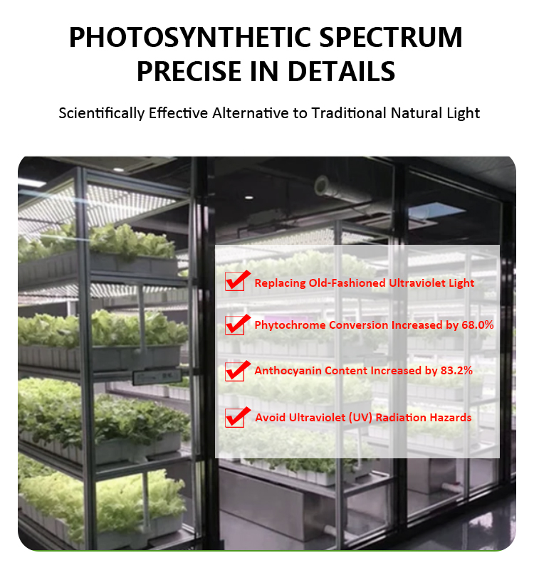 PLANT LIGHT