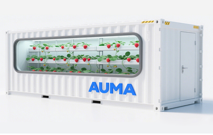 greenhouse for strawberry