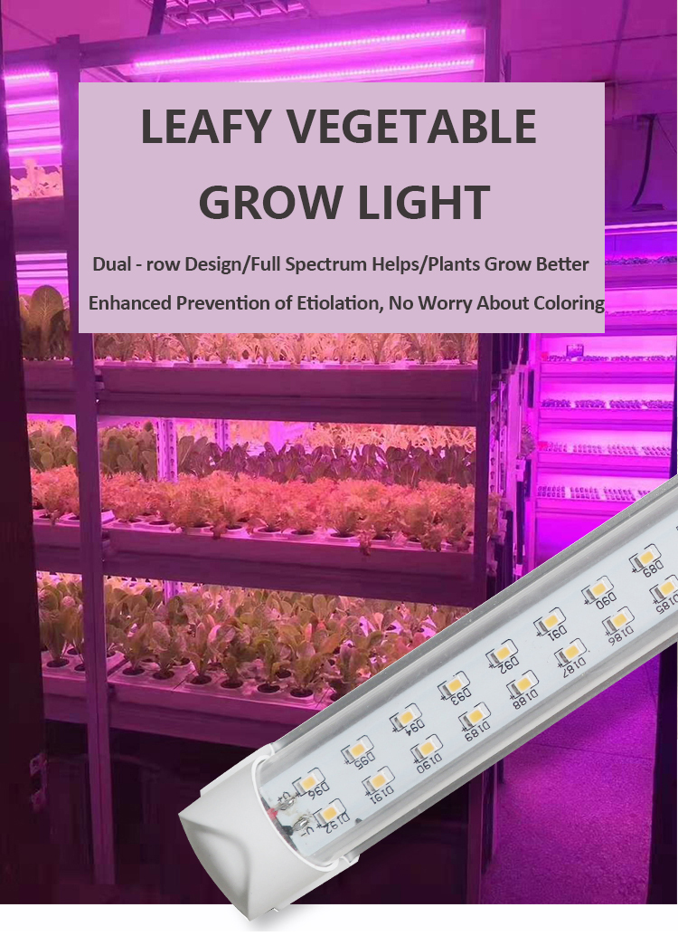 leafy vegetable grow light