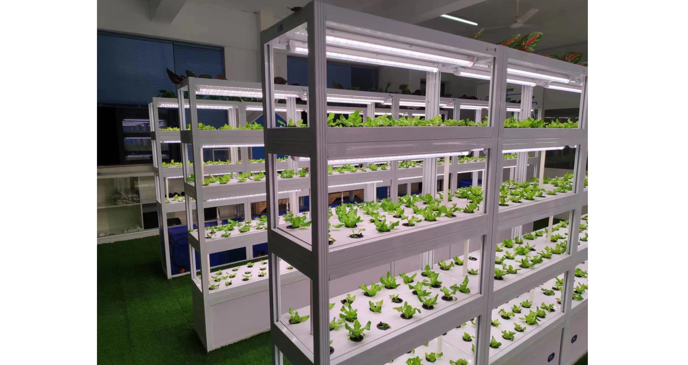 The Detailed Composition of A Container Farm: Unlocking The Code of Modern Agriculture in A Steel Box