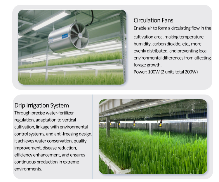 soilless cultivation greenhouse
