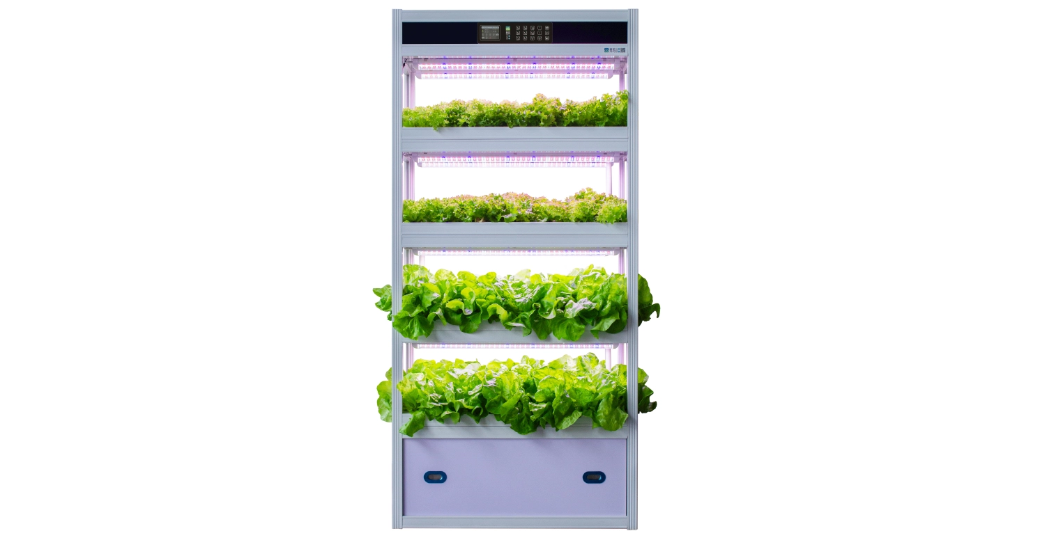 Home Smart Hydroponic Planter: Cultivation Tips for Common Vegetables