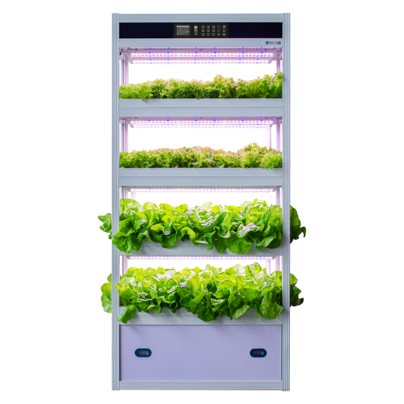 Home Smart Hydroponic Planter: Cultivation Tips for Common Vegetables