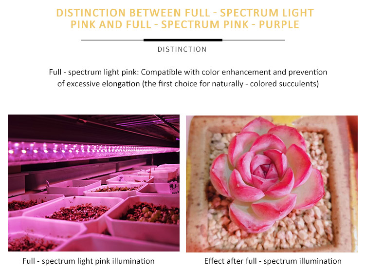 led growing light 