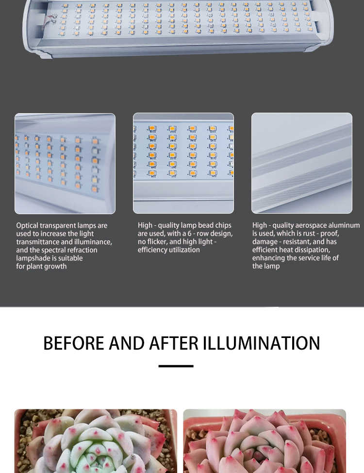 GROW LAMP