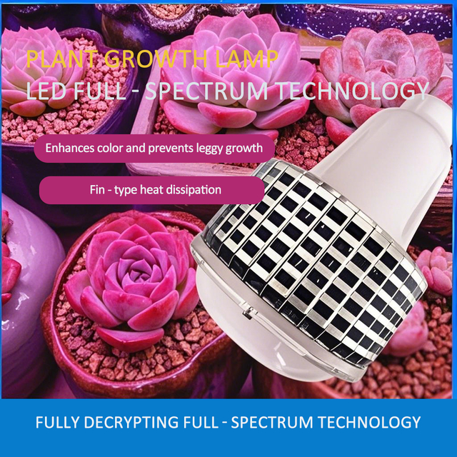 SpectraGlow Bulb Plant Grower - Universal & Succulent Color - Up Specialist 