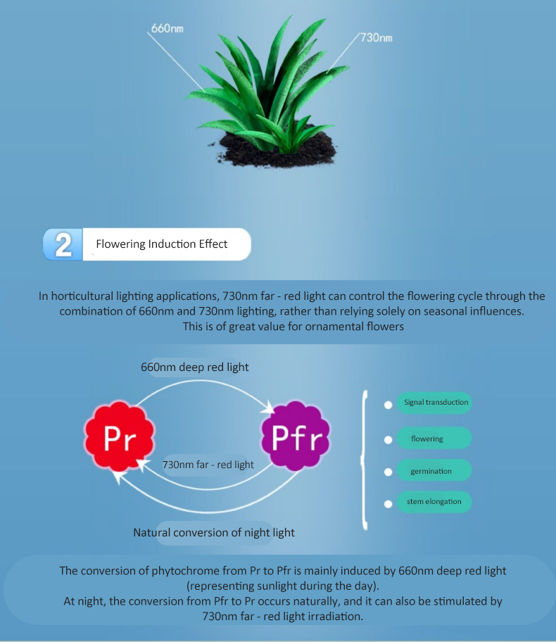 LED PLANT LIGHT