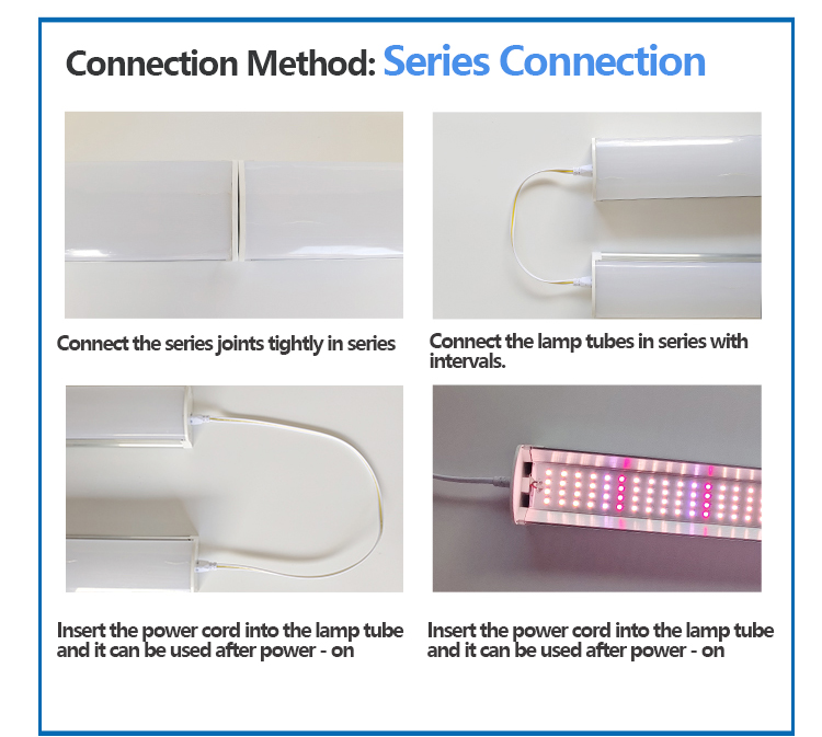 plant grow lAMP