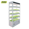 Hydroponic Seedling Raising Machine For Indoor Farming
