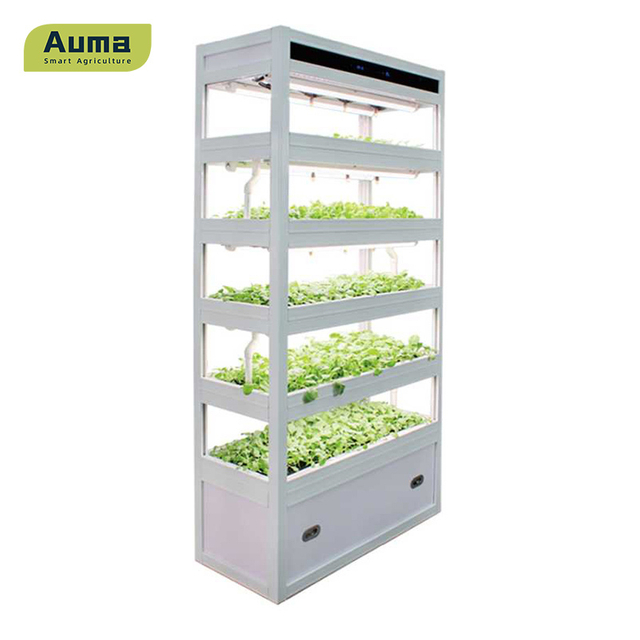 Hydroponic Seedling Raising Machine For Indoor Farming