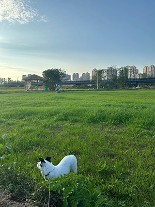 city farm