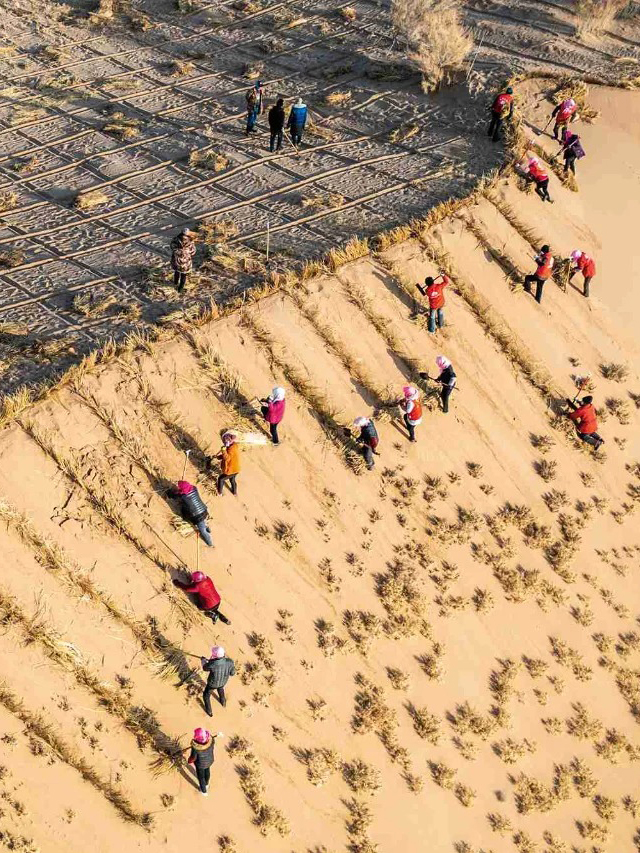 Land restoration