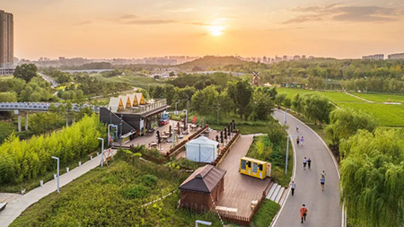 Reimagining Urban Spaces: Designing Shared Gardens for Wellness and Sustainability