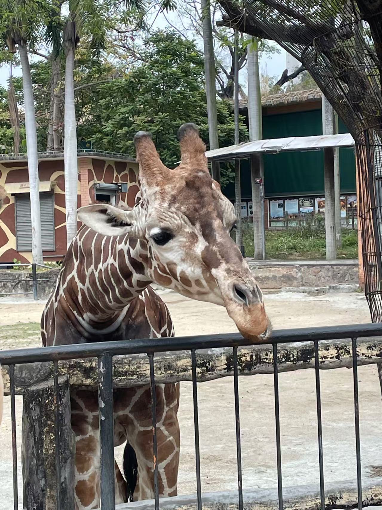 Zoo Sustainability 