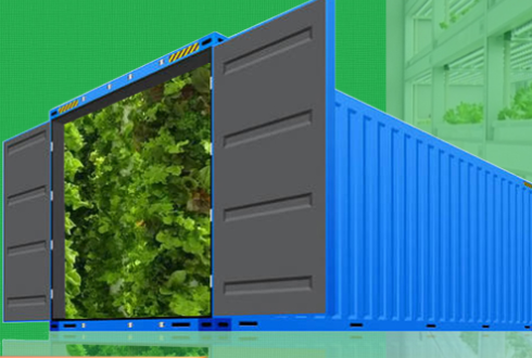 Auma Agricultural Container Plant Factory: Opening A New Era of Digital Agriculture