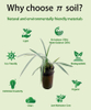 Special Soilless Hydroponic Planting Medium for Butterfly Orchid Nutrition Cutting Block Biochar Mud Cotton Seedling Peat