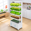 Indoor Soilless Cultivation Hydroponic Kit: Vertical Hydroponic System, Vegetable Planting Machine in Intelligent Grow System