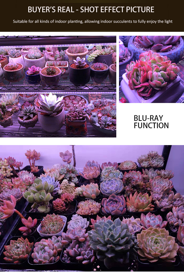 BLUE-RAY FUNCTION