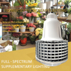 SpectraGlow Bulb Plant Grower - Universal & Succulent Color - Up Specialist 