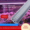 SpectrumPro LED Plant Grow Light - 4/6 Row Energy-Saving Solution for Succulents