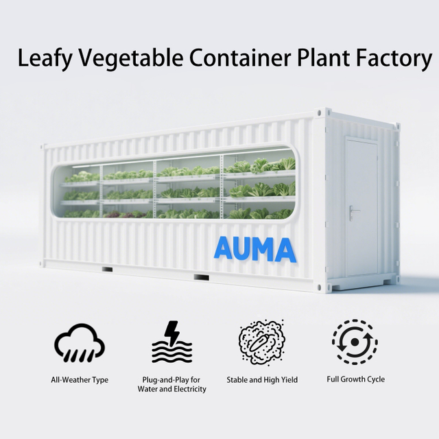 Stable High-Yield Intelligent Environment-Controlled Soilless Cultivation Agricultural System for Leafy Vegetables in Containers