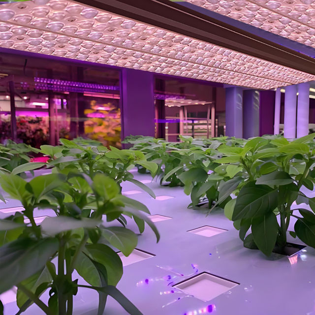 Sunlike Full - Spectrum LED Plant Growth Lamp with Lens (Universal for Plants)