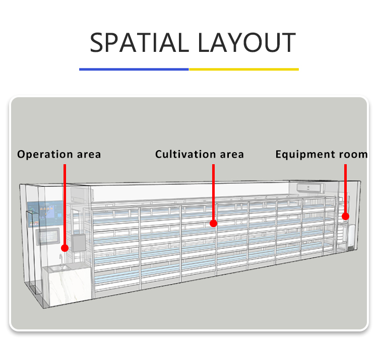 container hydroponic system