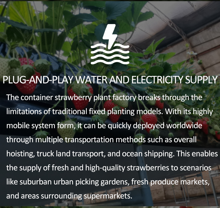 container planting