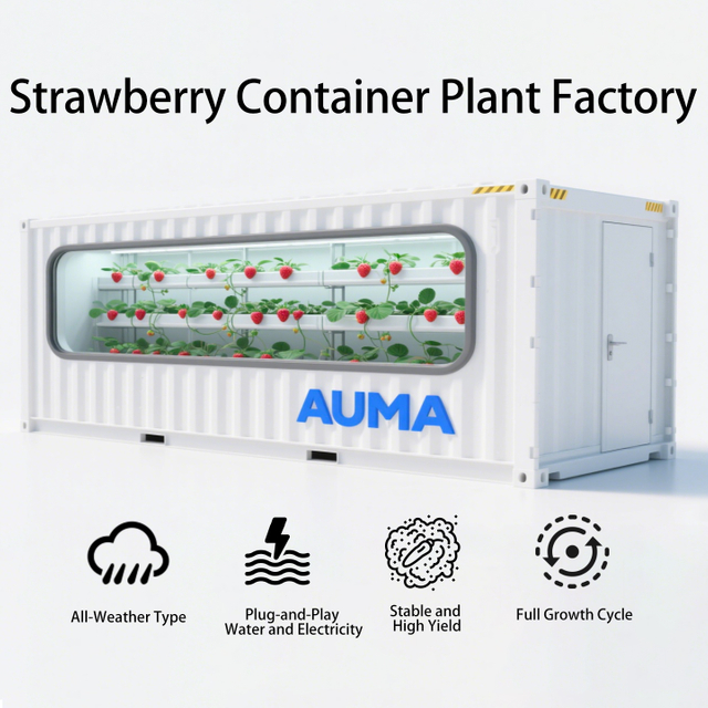 Complete Container Farm Soilless Vertical Cultivation Technology with IoT System for Strawberry Planting
