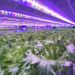 T8 Full Spectrum LED Grow Light for All Plants - Optimal for Greenhouses And Indoor Gardens