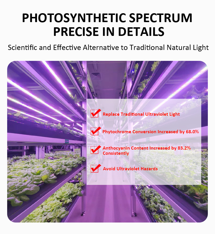 led plant grow light