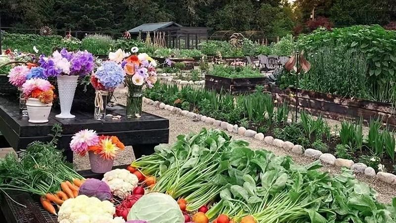 ​Urban Community Farms: Transforming Cities with Sustainable Planting Substrates