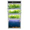 Auma Aquaponic System Equipment for Fish Lover