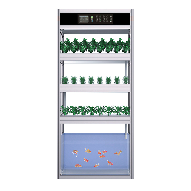 Auma Aquaponic System Equipment for Fish Lover