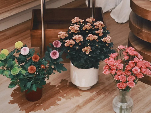 ​Tips for Successfully Propagating Fresh-Cut Roses