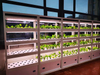 Auma Hydroponic Growing Cabinet for office
