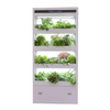 Auma Enclosed Hydroponic Growing Cabinet with LED Lights for Water-deficient Area