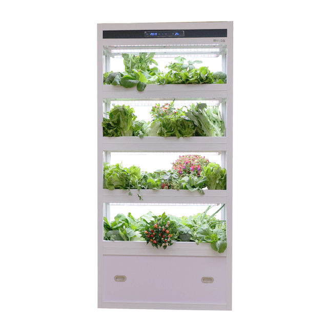 Auma Enclosed Hydroponic Growing Cabinet with LED Lights for Water-deficient Area