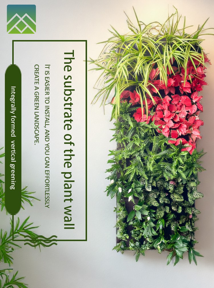 plant wall