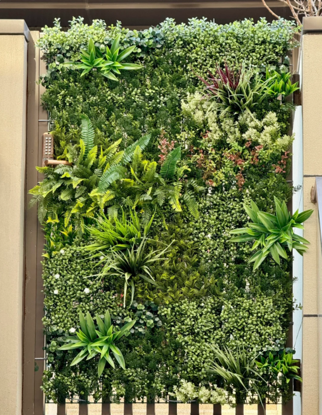 plant wall