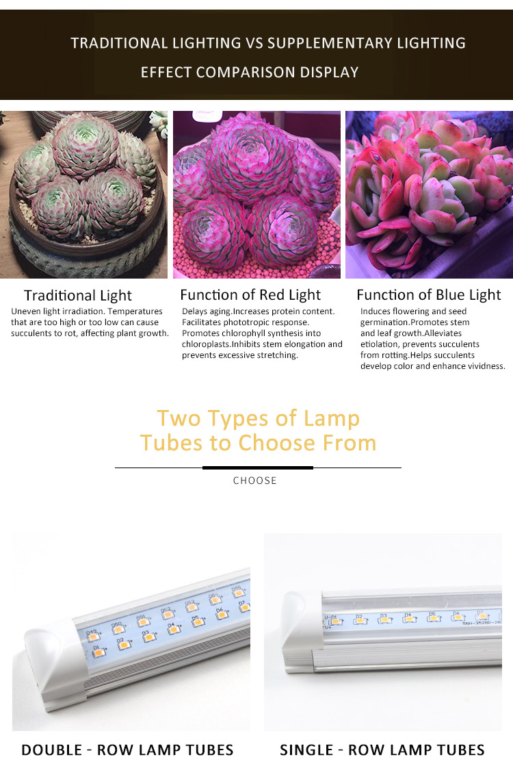 plant light (2)