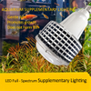 SpectraGlow Bulb Plant Grower - Universal & Succulent Color - Up Specialist 