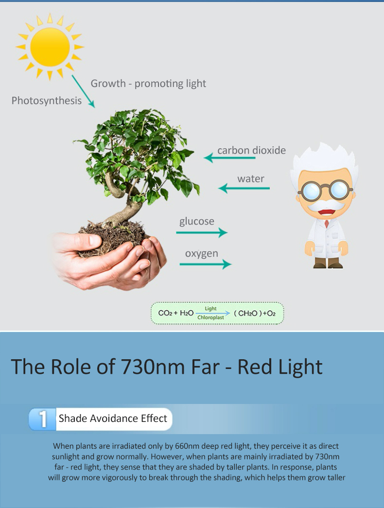 LED GROW LIGHT