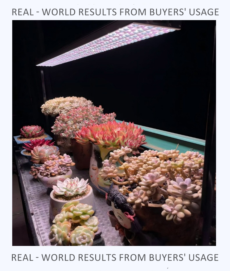 PLANT LAMP