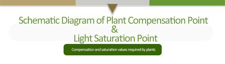 led plant light