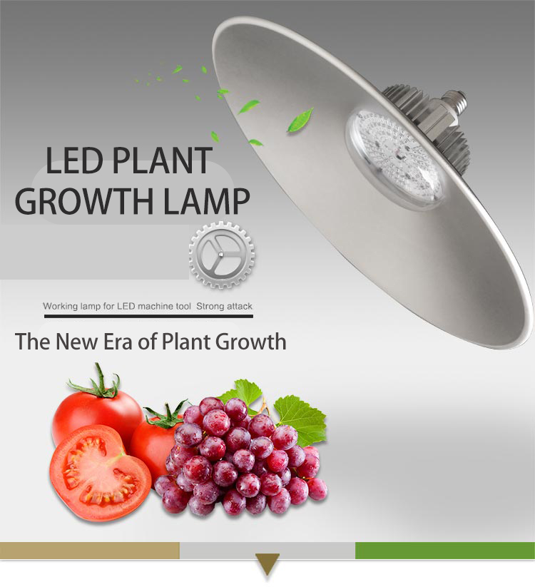 LED GROW LIGHT