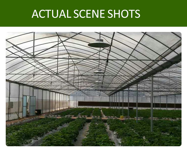 farm plant grow light