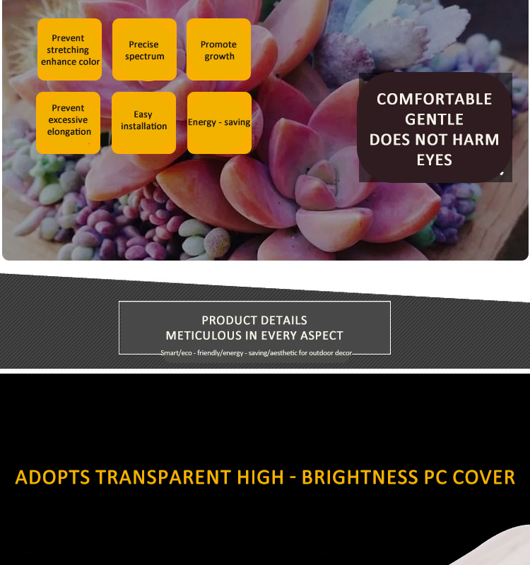 plant grow light
