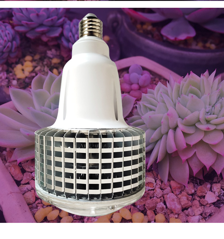 blub plant light
