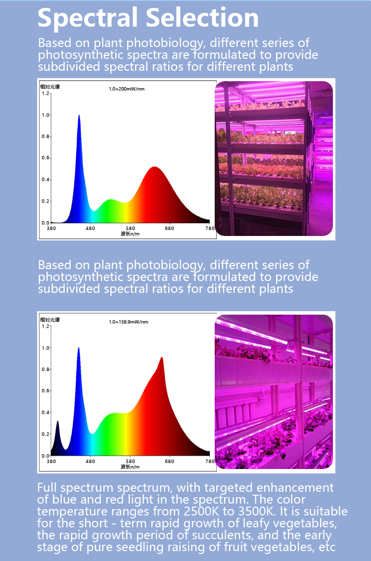 full spectrum plant light